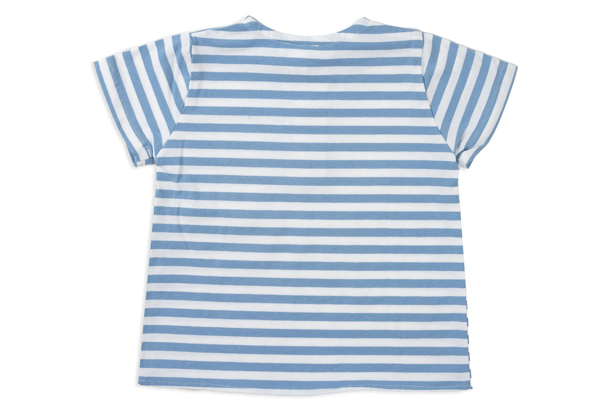 Blue Stripe T-Shirt