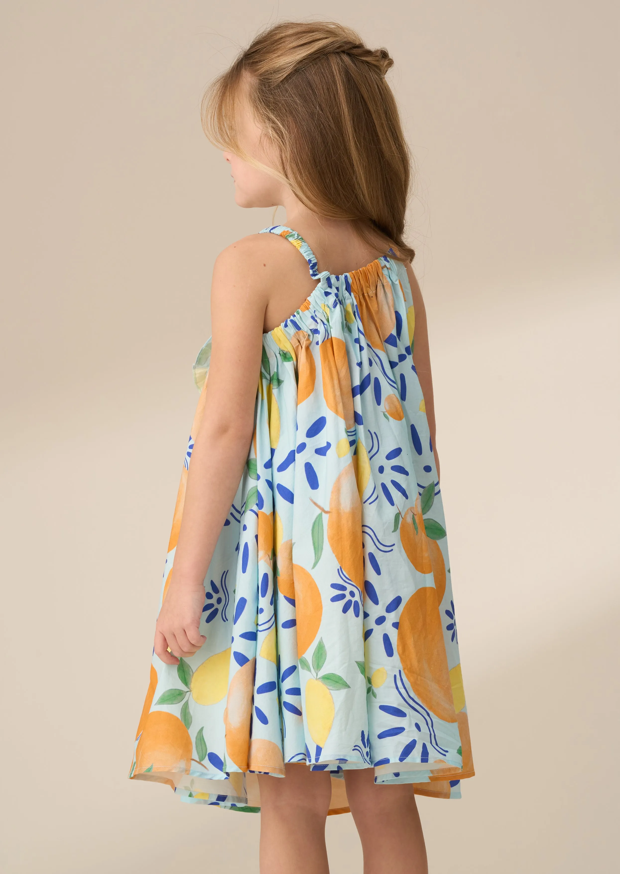 Carrie Multi Print Swing Corsage Dress