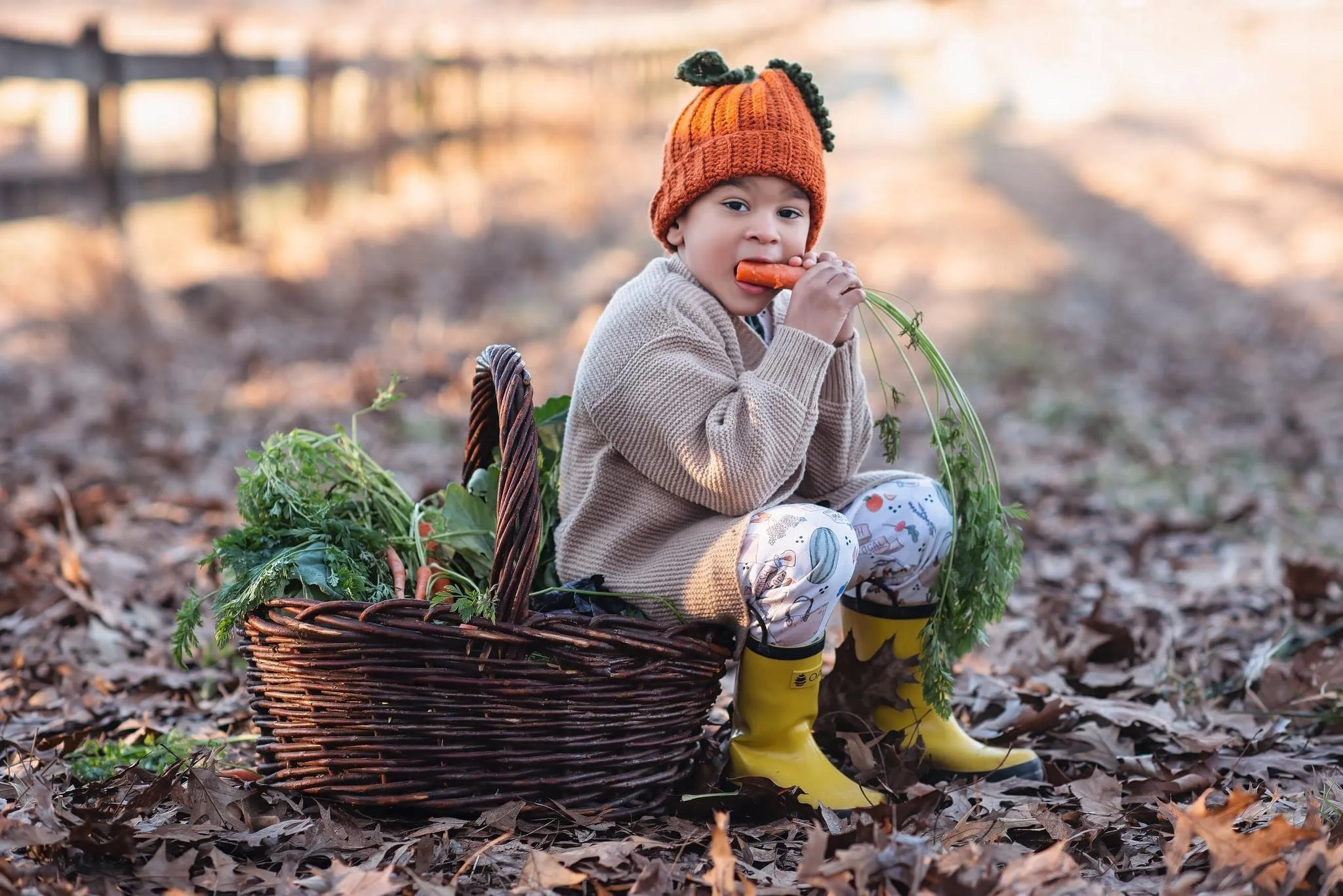 Farm Fresh Romper & Tee Set