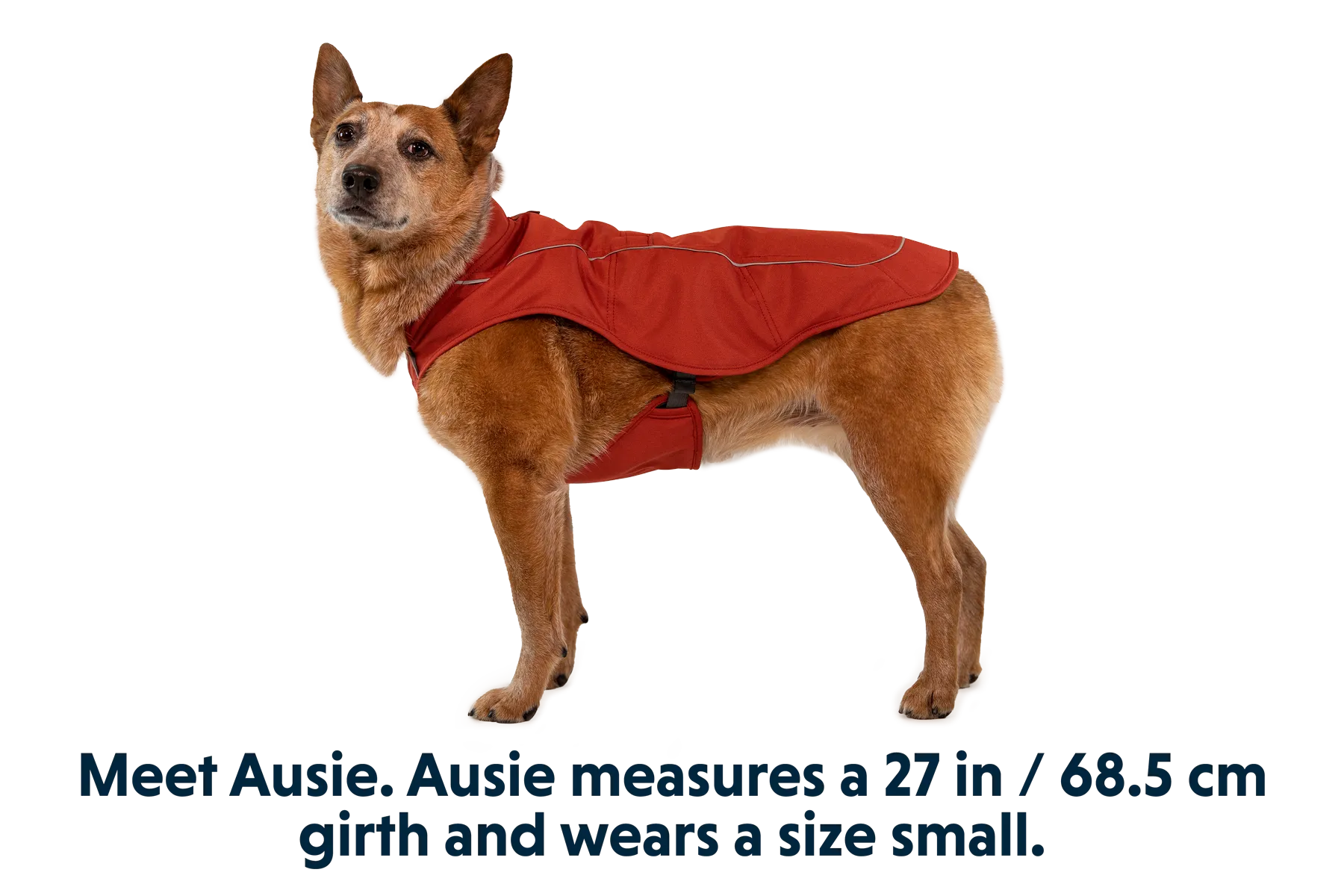 Overcoat™ Dog  Jacket