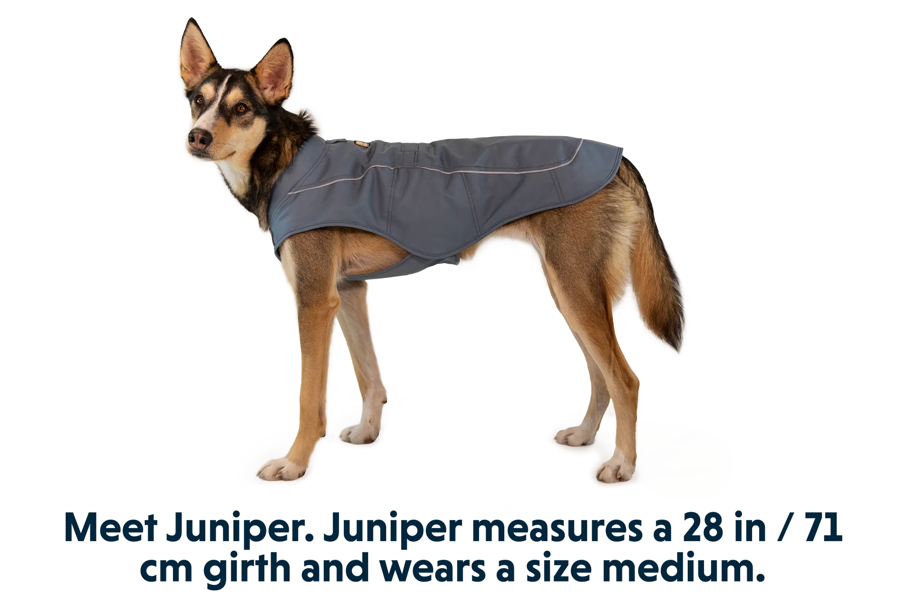 Overcoat™ Dog  Jacket